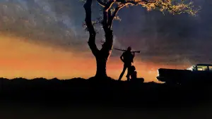 Backdrop to the movie "Badlands" #667958