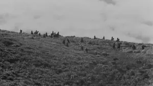 Backdrop to the movie "Seven Samurai" #605733