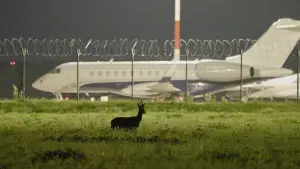 Backdrop to the movie "Scarecrows" #771651