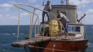 Backdrop to the movie "Jaws" #520944