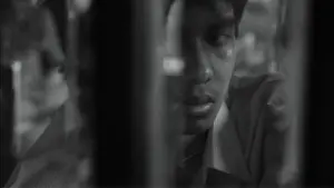 Backdrop to the movie "Shady of Pink" #200604