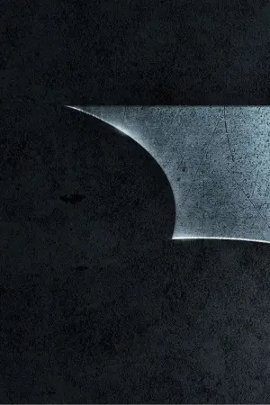 Poster to the movie "Batman Begins" #23925