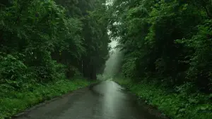 Backdrop to the movie "Little Forest: Summer/Autumn" #853906