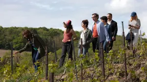 Backdrop to the movie "Champagne !" #395818