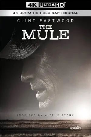 Poster to the movie "The Mule" #69741