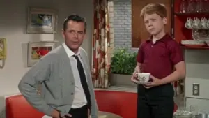 Backdrop to the movie "The Courtship of Eddie