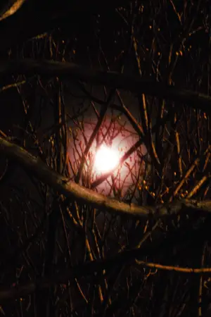 Poster to the movie "Sad and Empty" #550844