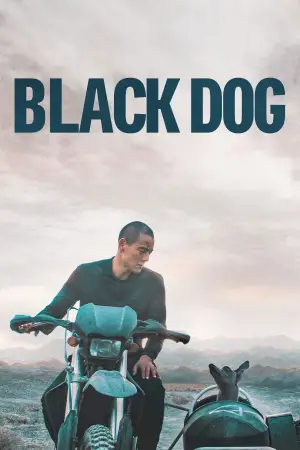 Poster to the movie "Black Dog" #600744
