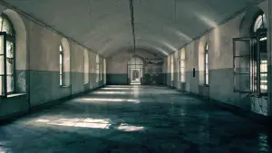 Backdrop to the movie "Lydia – Aufzeichnungen aus dem Irrenhaus" #544699