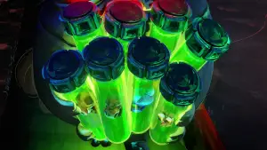 Backdrop to the movie "Teenage Mutant Ninja Turtles: Mutant Mayhem" #622616