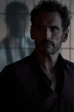 Poster to the movie "The Fence" #767876