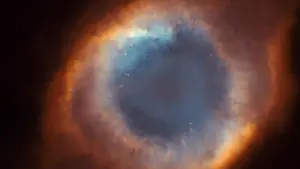 Backdrop to the movie "The Tree of Life" #723950