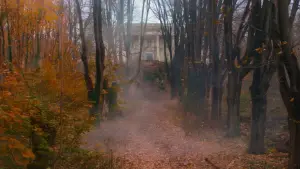 Backdrop to the movie "The Greatest Showman" #580215