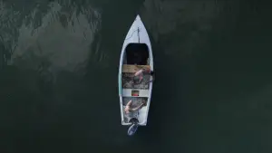 Watch film Toxic Shark | Official Trailer