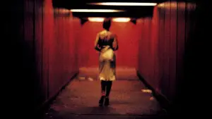 Backdrop to the movie "Irreversible" #772028