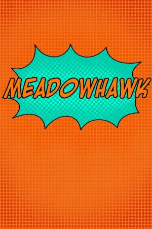 Poster to the movie "Meadowhawk" #836774