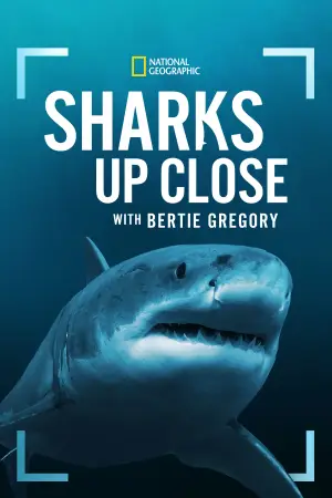 Poster to the movie "Sharks Up Close with Bertie Gregory" #793034