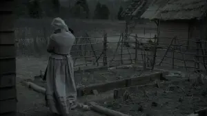 Backdrop to the movie "The Witch" #600203