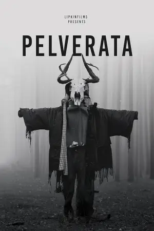 Poster to the movie "Pelverata" #936596