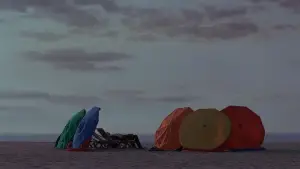 Backdrop to the movie "Sentimental Value" #510802