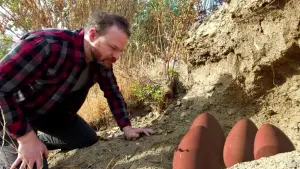 Backdrop to the movie "Space Sharks" #612182