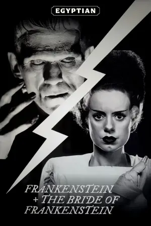 Poster to the movie "Frankenstein" #641118