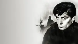 Backdrop to the movie "Rocco and His Brothers" #750835