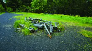 Backdrop to the movie "Between The Living & The Dead, The Lovers Reside" #558800