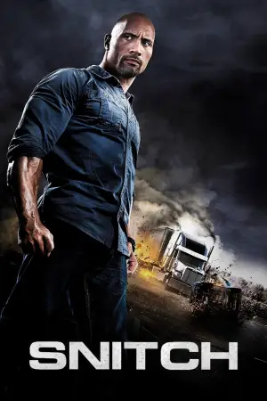 Poster to the movie "Snitch" #861401