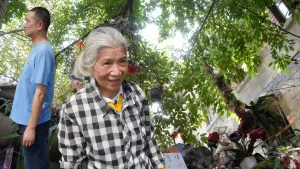 Backdrop to the movie "Paradise Garden" #788075