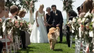 Backdrop to the movie "The Art of Racing in the Rain" #716547