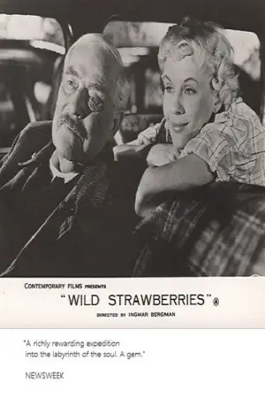 Poster to the movie "Wild Strawberries" #693431
