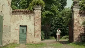 Backdrop to the movie "Call Me by Your Name" #836918