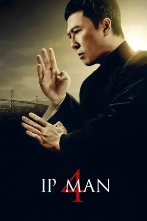 Poster to the movie "Ip Man 4: The Finale" #228220