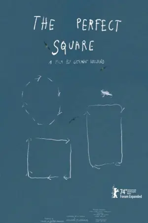 The Perfect Square