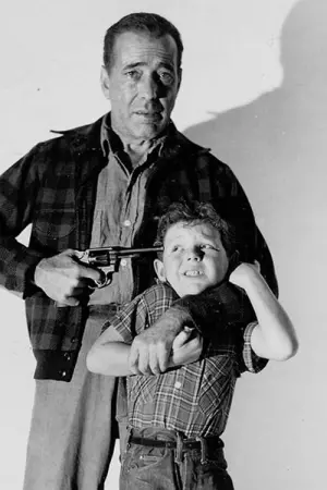 Poster to the movie "The Desperate Hours" #434084