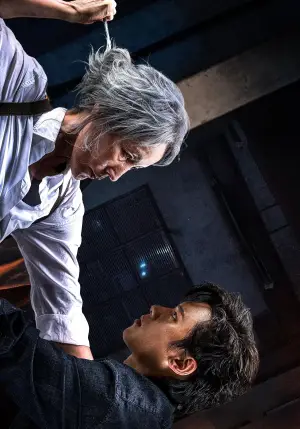 Poster to the movie "The Old Woman with the Knife" #529003