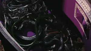 Backdrop to the movie "Live and Let Die" #645145