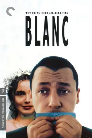 Poster to the movie "Three Colors: White" #705540