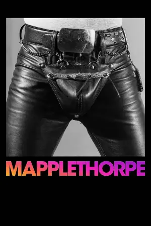 Poster to the movie "Mapplethorpe" #665612