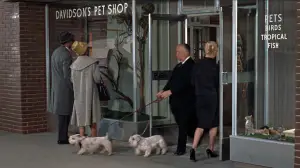 Backdrop to the movie "The Birds" #677210