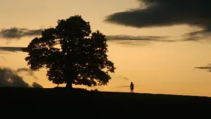 Backdrop to the movie "28 Years Later" #520764