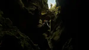 Backdrop to the movie "APEX" #774495