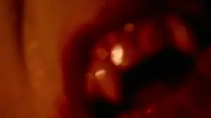 Backdrop to the movie "The Lost Boys" #656340