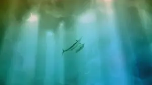 Backdrop to the movie "The Old Man and the Sea" #400220