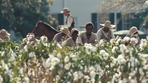 Backdrop to the movie "12 Years a Slave" #751763