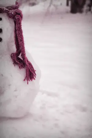 Poster to the movie "The Snowman" #862850