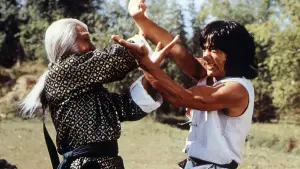 Backdrop to the movie "Fearless Hyena" #382330