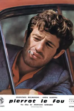 Poster to the movie "Pierrot le Fou" #861779