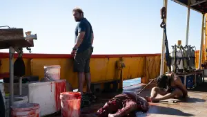 Backdrop to the movie "Dangerous Animals" #552637